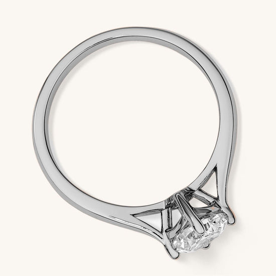 The Stardust Ring - AnaClair