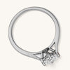 The Stardust Ring - AnaClair